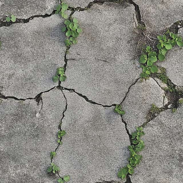 Weathered Concrete Crack Texture wallpaper CONCRETE 0085 – concrete texture and pattern
