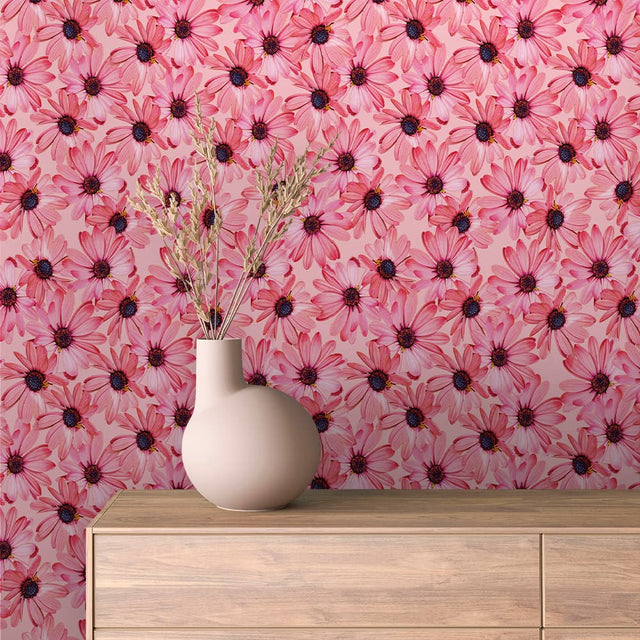 Blush Daisy Bloom Floral Wallpaper – FLORAL 0011